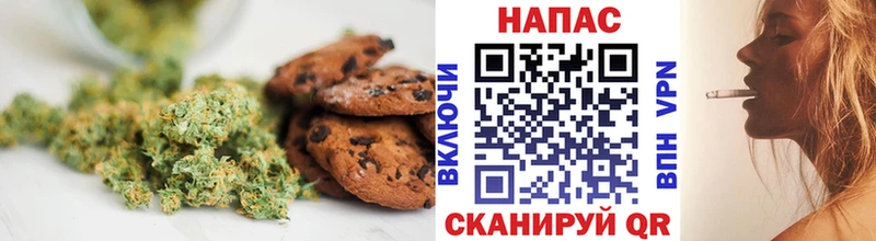 Купить закладки  Светлогорск  Canna-Cookies марихуана 