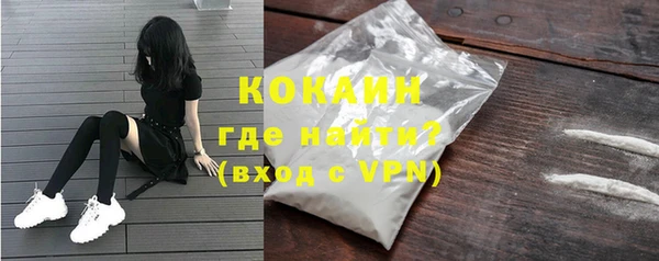 крисы Корсаков