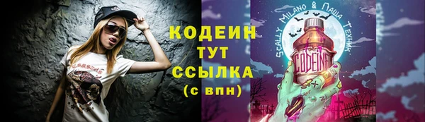 крисы Корсаков