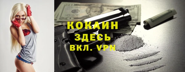 крисы Корсаков