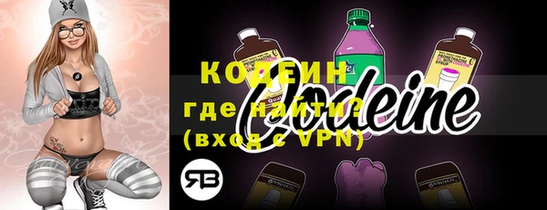 крисы Корсаков