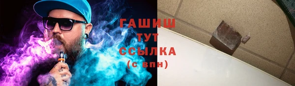 крисы Корсаков
