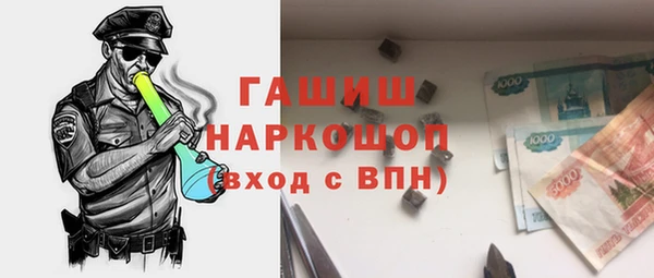 крисы Корсаков