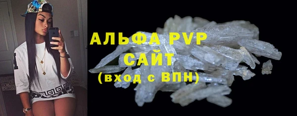 крисы Корсаков
