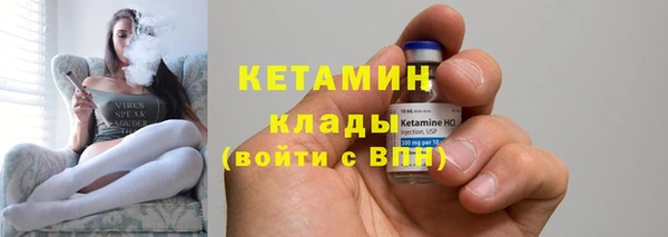 крисы Корсаков