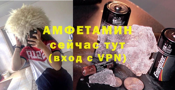 крисы Корсаков