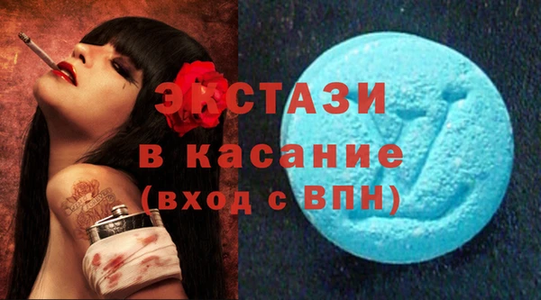 крисы Корсаков