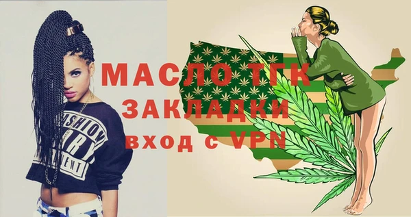 крисы Корсаков
