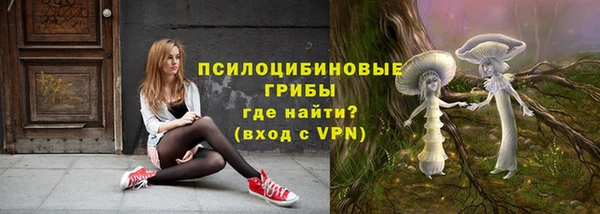 спиды Костерёво