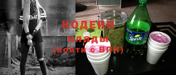 спиды Костерёво