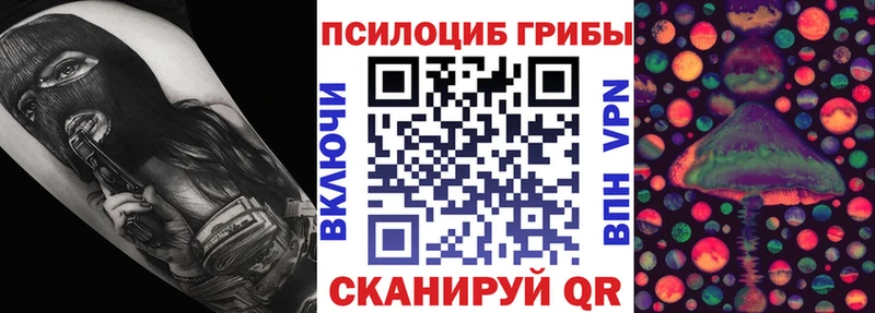 Галлюциногенные грибы GOLDEN TEACHER  Купить  Светлогорск 