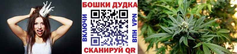 Марихуана конопля  Купить  Светлогорск 